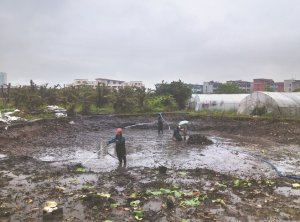 昌吉河道鱼塘清淤